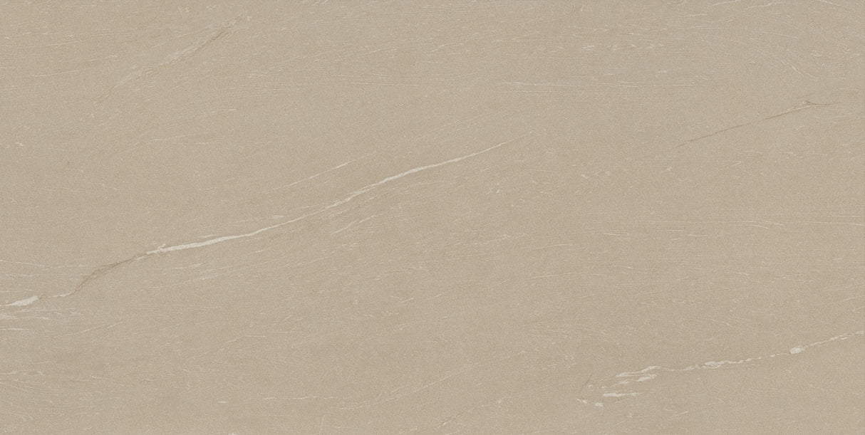 PANNONIA THICKNESS 9MM - NEXION - ( - LITHIC - 1198x1198x mm - 48inchX48inchX0.36inch )