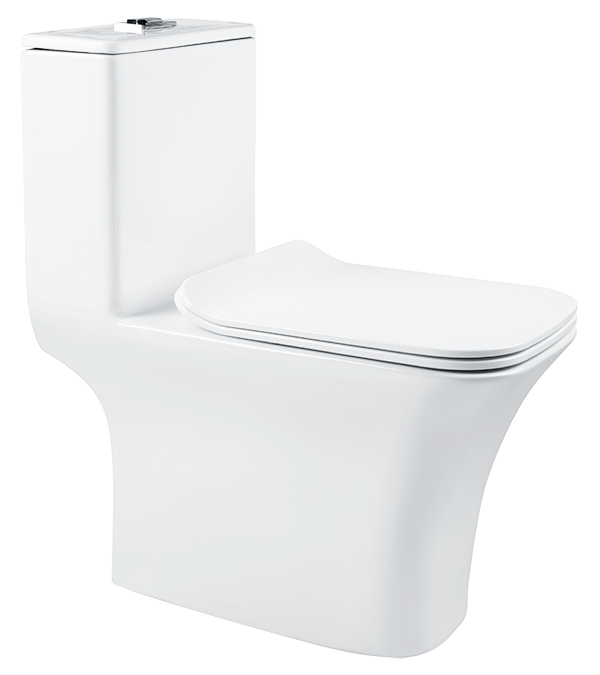 EWC ONE-PIECE STARC P - HINDWARE -  ( STAR WHITE - STARC- 660x355 mm - 26.4inchX14.2inch )