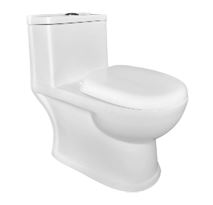 EWC ONE PC P-TRAP  W/S.COVER - GLOCERA SWARE -  ( STAR WHITE - DELOS - 0x0 mm - 0inchx0inch )