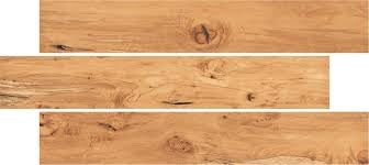 CURLY AMBER MATT - SIMPOLO-TILES- (  - WOODEN PLANK MATT - 1200x200 mm - 48inchX8inch )