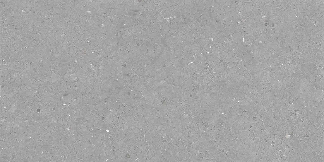 FOSSIL GREY GLOSSY - SIMPOLO-TILES- (  - IMPATTO GLOSSY - 1198x598 mm - 48inchX24inch )