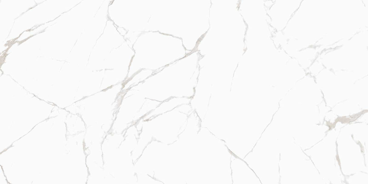 NOBLE (GLOSSY) - COLORTILE -  (  - PGVT - 1200x600 mm - 48inchX24inch )