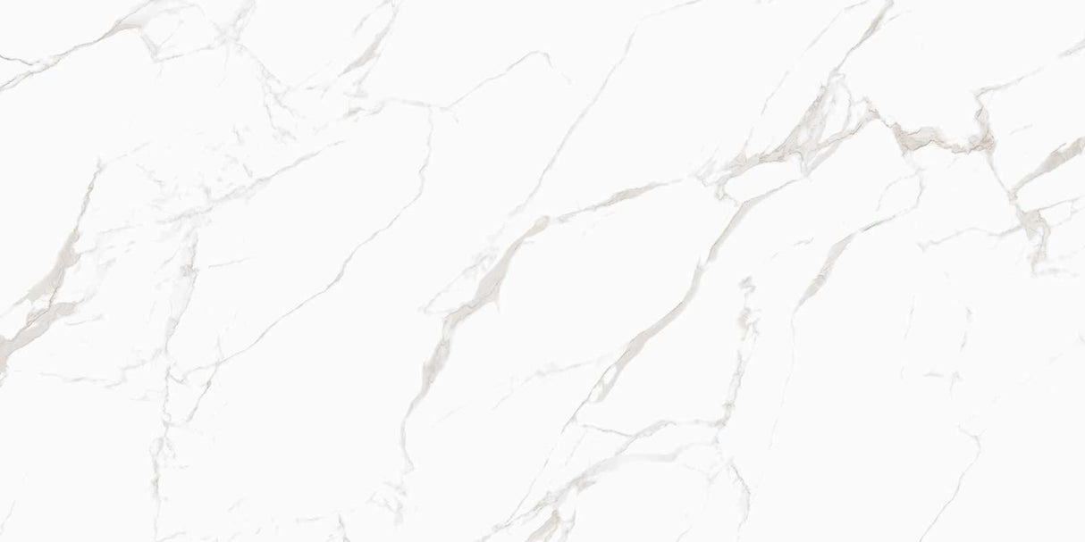 NOBLE (GLOSSY) - COLORTILE -  (  - PGVT - 1200x600 mm - 48inchX24inch )