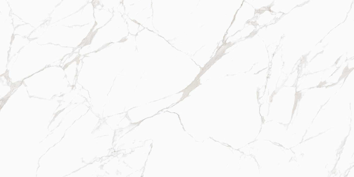 NOBLE (GLOSSY) - COLORTILE -  (  - PGVT - 1200x600 mm - 48inchX24inch )