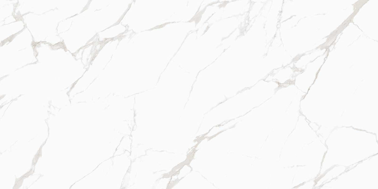 NOBLE (GLOSSY) - COLORTILE -  (  - PGVT - 1200x600 mm - 48inchX24inch )