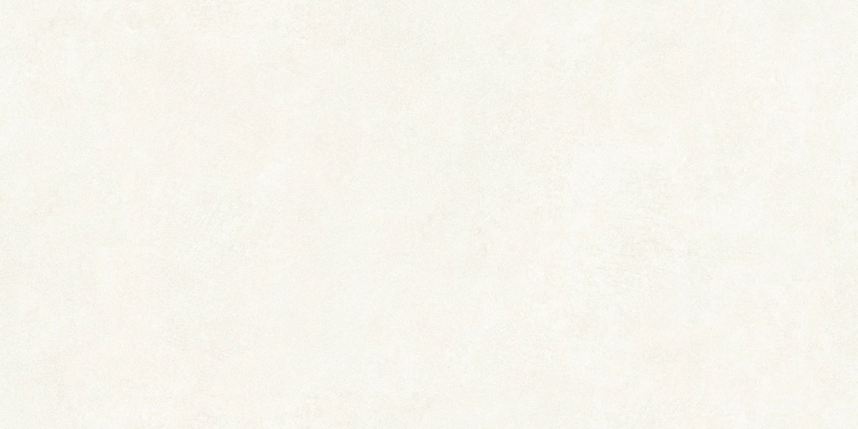 PERSIAN PEARL - INDIAN TILE - ( - FULL BODY 1 - 1200x600 mm - 48inchX24inch)