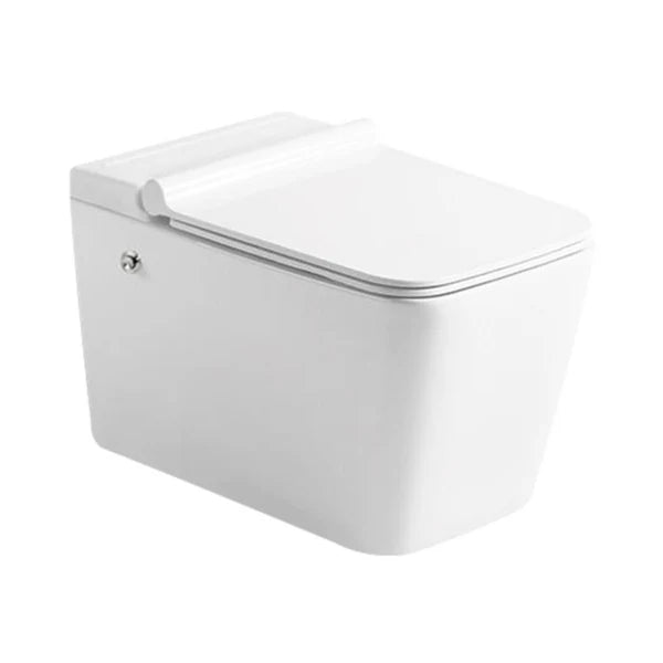 EWC WM TANKLESS S2 (P TRAP-230MM)- HINDWARE - ( STAR WHITE - ITALIAN - 0x0 mm - 0inchX0inch )