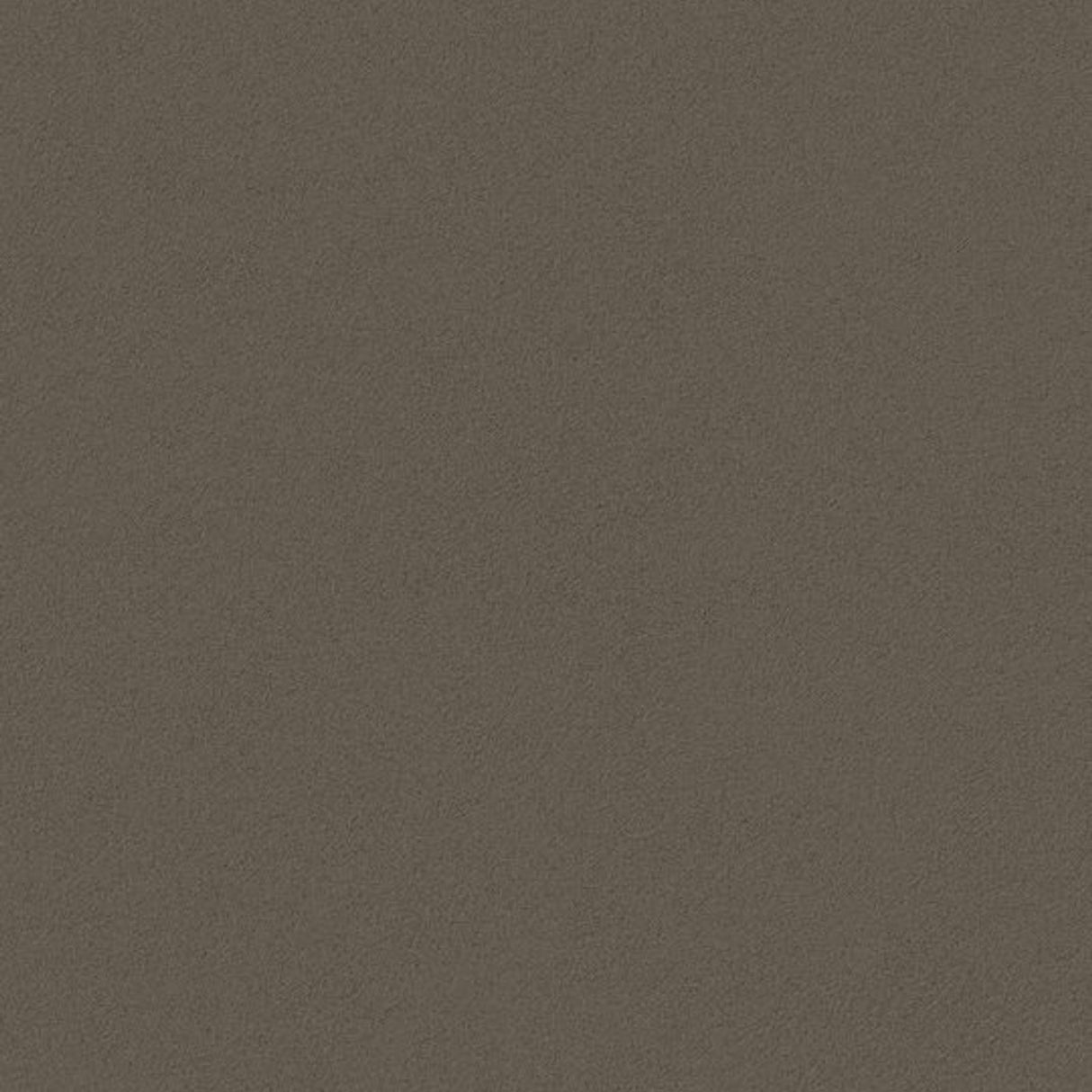 PICCHE ESPRESSO THICKNESS 9MM - NEXION - ( - PICCHE - 1198x1198x9 mm - 48inchX48inchX0.36inch )