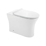 RIMLES BACK TO WALL EWC W/UF/S.CL/S/CVR - JAQUAR SWARE - ( WHITE - ORNAMIX - 0x0 mm - 0inchX0inch )