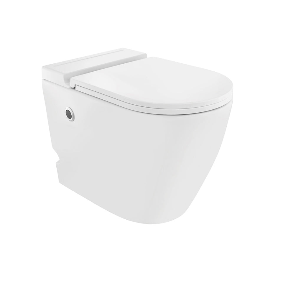 TANKLESS 1P WC W/UF SOFT CLOSE SLIM SC W/HINGES & ACCESSORIES, S TRAP-300 MM - JAQUAR SWARE - ( WHITE - OPAL - 580x360 mm - 22.8inchX14.2inch )