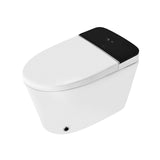 RIMLESS SING.PIECE-WC W/ELECTRONIC PP SC - JAQUAR SWARE - ( WHITE - - 0x0 mm - 0inchX0inch )