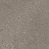 SPECTRA MUSHROOM MATT - SIMPOLO-TILES -  (  - SPECTRA MATT - 1198x598 mm - 48inchX24inch )