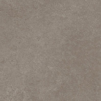 SPECTRA MUSHROOM MATT - SIMPOLO-TILES -  (  - SPECTRA MATT - 1198x598 mm - 48inchX24inch )
