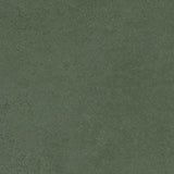 SPECTRA HERBS MATT - SIMPOLO-TILES -  (  - SPECTRA MATT - 1198x598 mm - 48inchX24inch )
