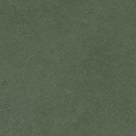 SPECTRA HERBS MATT - SIMPOLO-TILES -  (  - SPECTRA MATT - 1198x598 mm - 48inchX24inch )
