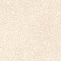 SPECTRA PEANUT MATT - SIMPOLO-TILES -  (  - SPECTRA MATT - 1198x598 mm - 48inchX24inch )