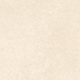 SPECTRA PEANUT MATT - SIMPOLO-TILES -  (  - SPECTRA MATT - 1198x598 mm - 48inchX24inch )