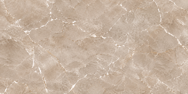 1018 GLOSSY - SIMPOLO-TILES -  (  - PROZZO GLOSSY - 1200x600x8.5 mm - 48inchX24inchX0.34inch )