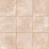 M-10003 (DG233) - INDIAN TILES -  (  - BCP - 300x300 mm - 12inchX12inch )