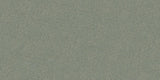QUEEN MINT GLOSSY - SIMPOLO-TILES -  (  - COURTYARD GLOSSY - 1198x598 mm - 48inchX24inch )