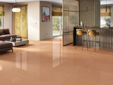 TERRA RED GLOSSY - SIMPOLO-TILES -  (  - COURTYARD GLOSSY - 1198x598 mm - 48inchX24inch )
