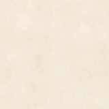 SPECTRA PEANUT MATT - SIMPOLO-TILES -  (  - SPECTRA MATT - 1198x1198 mm - 48inchX48inch )