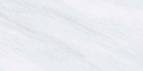 1219 GLOSSY - SIMPOLO-TILES -  (  - PROZZO-GLOSSY - 1200x600 mm - 48inchX24inch )