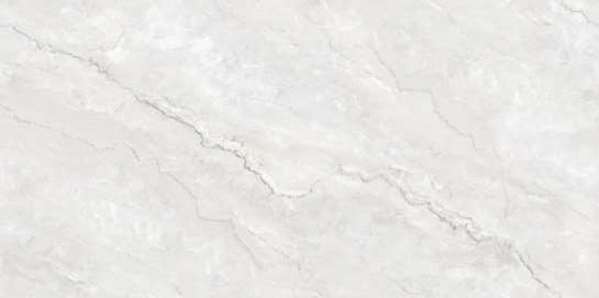 1241 GLOSSY - SIMPOLO-TILES - ( - COMPETITIVE COLLECTION GLOSSY