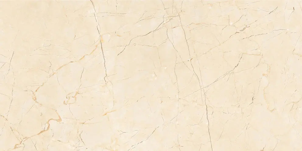 1008 GLOSSY - SIMPOLO-TILES -  (  - PROZZO GLOSSY - 1200x600x8.5 mm - 48inchX24inchX0.34inch )