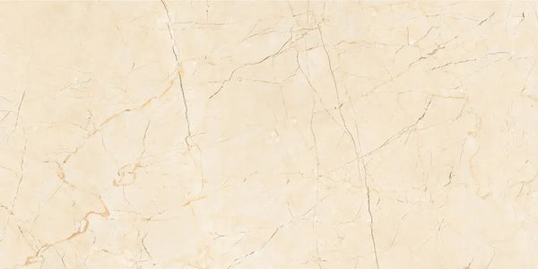 1008 GLOSSY - SIMPOLO-TILES -  (  - PROZZO GLOSSY - 1200x600x8.5 mm - 48inchX24inchX0.34inch )