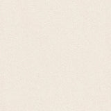 ALCHIMIA SHELL RAW TEXTURE - SIMPOLO-TILES -  (  - ALCHIMIA MATT - 1198x1198x9 mm - 48inchX48inchX0.36inch )