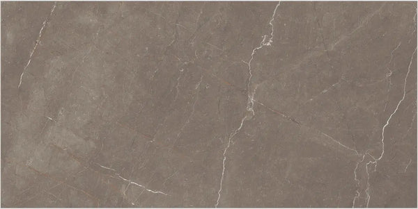1005 GLOSSY - SIMPOLO-TILES -  (  - COMPETITIVE COLLECTION GLOSSY - 1200x600x8.5 mm - 48inchX24inchX0.34inch )