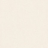 ALCHIMIA SHELL POSH+ - SIMPOLO-TILES -  (  - ALCHIMIA MATT - 1198x1198x9 mm - 48inchX48inchX0.36inch )