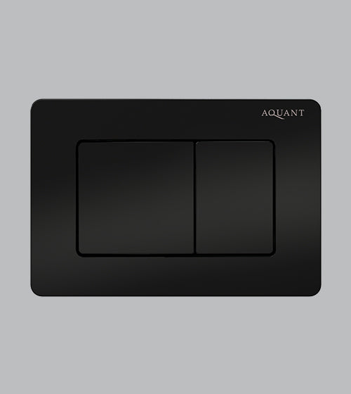 SS FLUSH PLATE - AQUANT -  ( MATT BLACK -  - 0x0 mm - 0inchx0inch )
