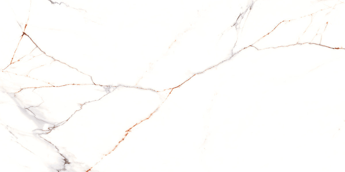 ROSA WHITE - INDIAN TILES -  (  - BLACKBERRY GLOSTER - 1200x600 mm - 48inchX24inch )