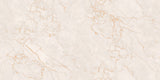 RAIN BEIGE - INDIAN TILES -  (  - BLACKBERRY GLOSTER - 1200x600 mm - 48inchX24inch )