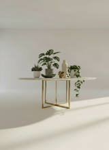 DAINA MARBLE COUNTER TOP - FURNITURE - ( - BUENA CASA - 0x556 mm - 0inchX22.24inch)