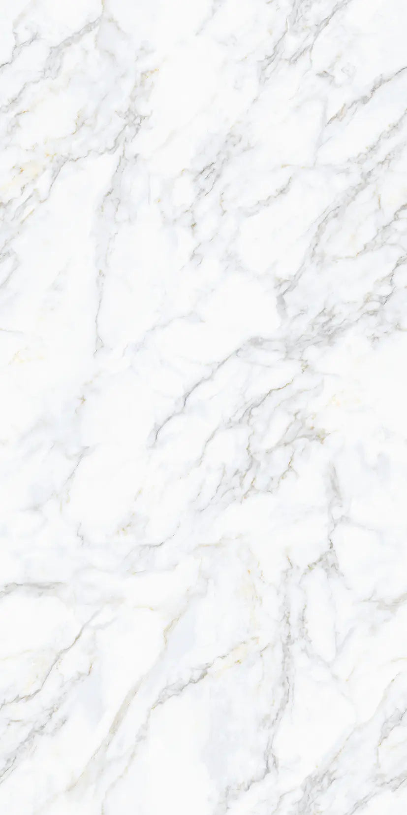 EDL 3243 MATT - SIMPOLO-TILES -  (  - COMPETITIVE COLLECTION MATT - 1200x600 mm - 48inchX24inch )