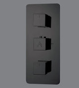 HIGH FLOW THERMO. DIVETER W/6 OUTLET - AQUANT -  ( MATT BLACK -  - 0x20 mm - 0inchX0.8inch )