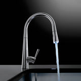 S/L SINK MIXER T/M WITH EXT.SHOWER BRAID - ACQUAVIVA -  ( BLACK MATT - KITCHEN SINK MIXER - 0x15 mm - 0inchX0.6inch )