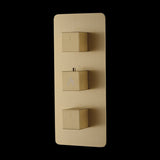CONC.THERMO DIVTR CNTRL.UNIT. FR 4OUTLET - AQUANT -  ( BRUSHED GOLD -  - 0x0 mm - 0inchx0inch )