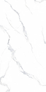 FLOREST WHITE - INDIAN TILES - ( - CRIST MATT BASE - 1200x600 mm - 48inchX24inch)