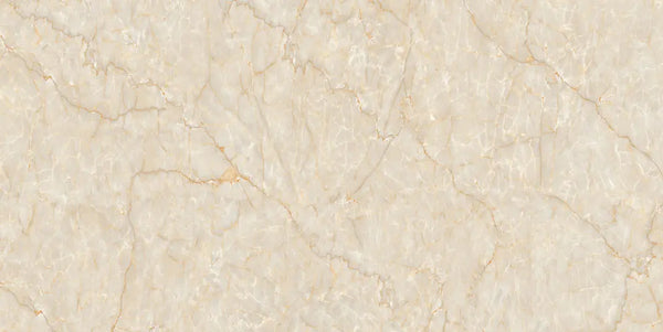 1116 GLOSSY - SIMPOLO-TILES -  (  - COMPETITIVE COLLECTION GLOSSY - 1200x600x8.5 mm - 48inchX24inchX0.34inch )