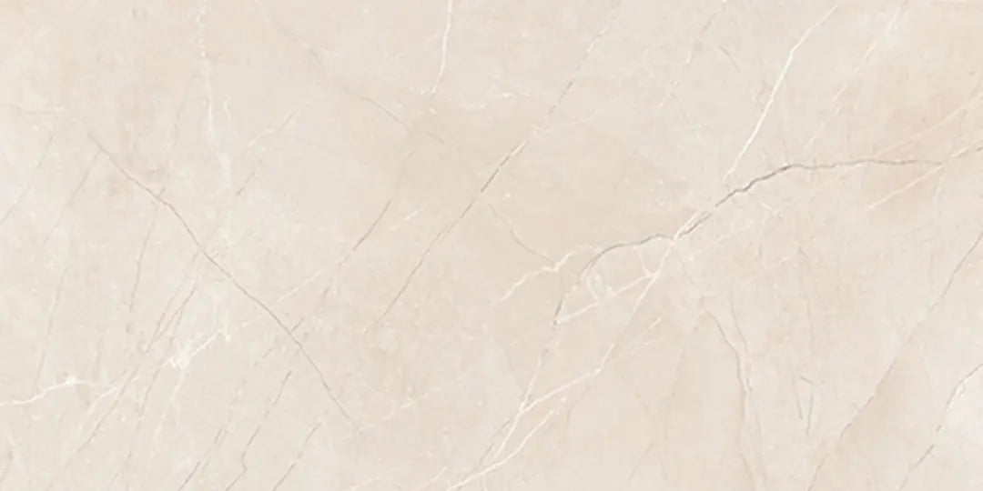 3148 FTS MATT - SIMPOLO-TILES -  (  - PROZZO REJOICE MATT - 1200x600x8.5 mm - 48inchX24inchX0.34inch )