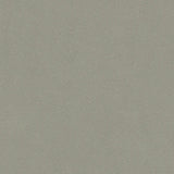 ALCHIMIA LEAF POLISHED - SIMPOLO-TILES -  (  - ALCHIMIA GLOSSY - 1198x1198x9 mm - 48inchX48inchX0.36inch )