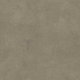SPECTRA MUSHROOM MATT - SIMPOLO-TILES -  (  - SPECTRA MATT - 1198x1198 mm - 48inchX48inch )