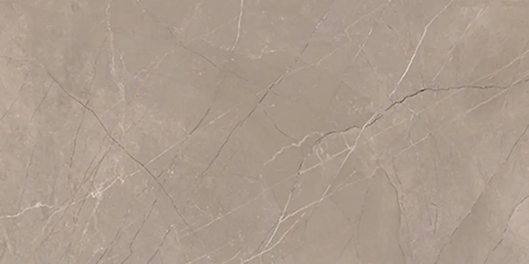 3149 FTS MATT - SIMPOLO-TILES -  (  - PROZZO REJOICE MATT - 1200x600x8.5 mm - 48inchX24inchX0.34inch )