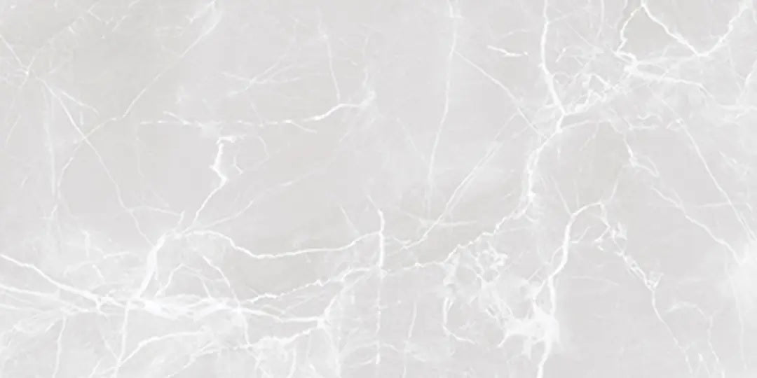 3153 FTS MATT - SIMPOLO-TILES -  (  - PROZZO REJOICE MATT - 1200x600x8.5 mm - 48inchX24inchX0.34inch )