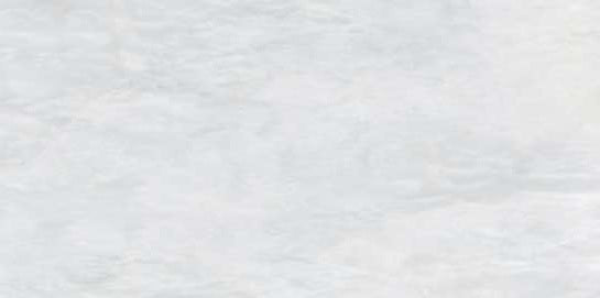 3218 MATT - SIMPOLO-TILES -  (  - PROZZO-MATT - 1200x600 mm - 48inchX24inch )