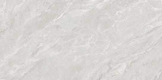 3224 MATT - SIMPOLO-TILES -  (  - PROZZO-MATT - 1200x600 mm - 48inchX24inch )